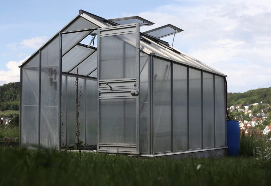 Hur man reglerar värme för svala vädergrödor i en hobby polytunnel