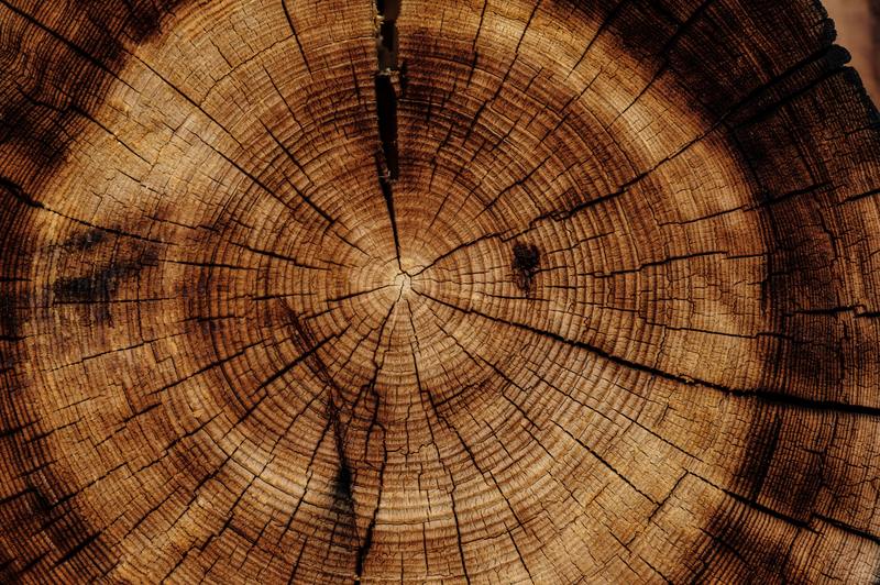 6 DIY -steg för hur du enkelt fixar vattenskadat trä hemma