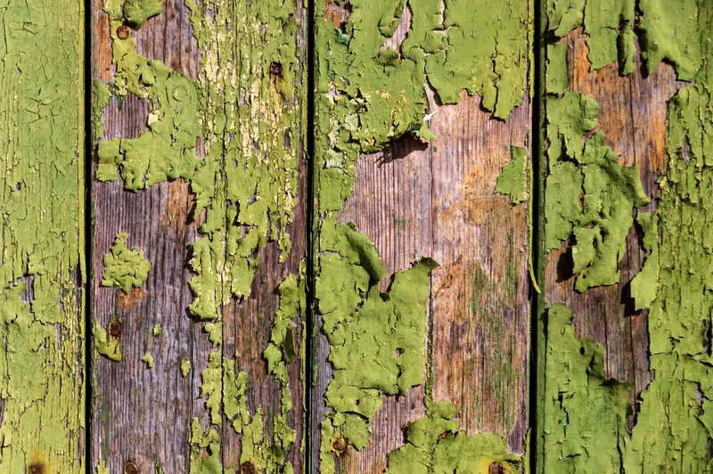 5 sätt att enkelt ta bort grön mögel från trädäck