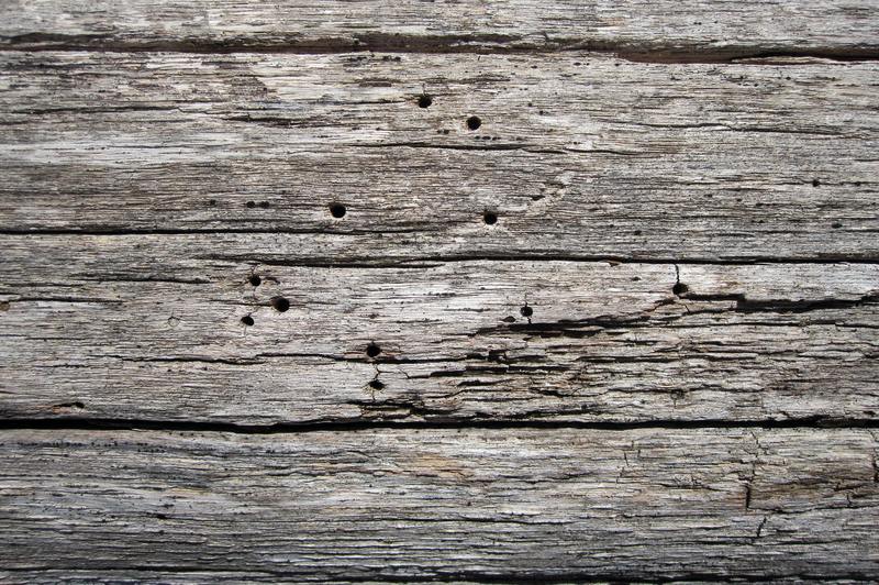 7 enkla DIY -steg om hur man reparerar vattenskadat naturligt trä