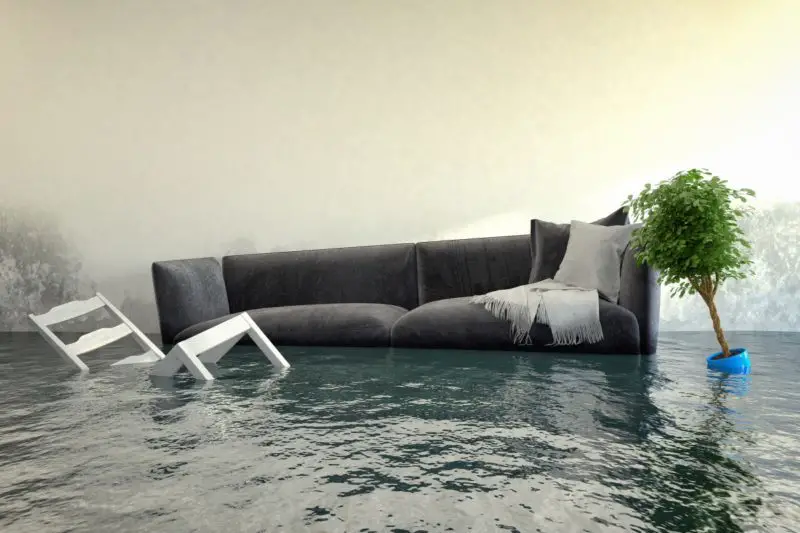 Hur säger jag upp översvämningsförsäkring? 10 viktiga skälskoder att notera!