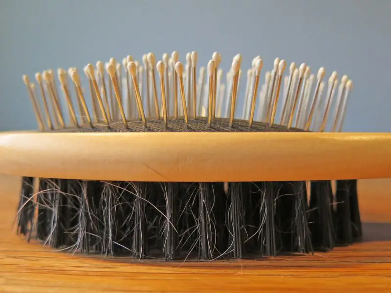 Hur man rengör Revlon hårfönborste? 4 enkla steg!