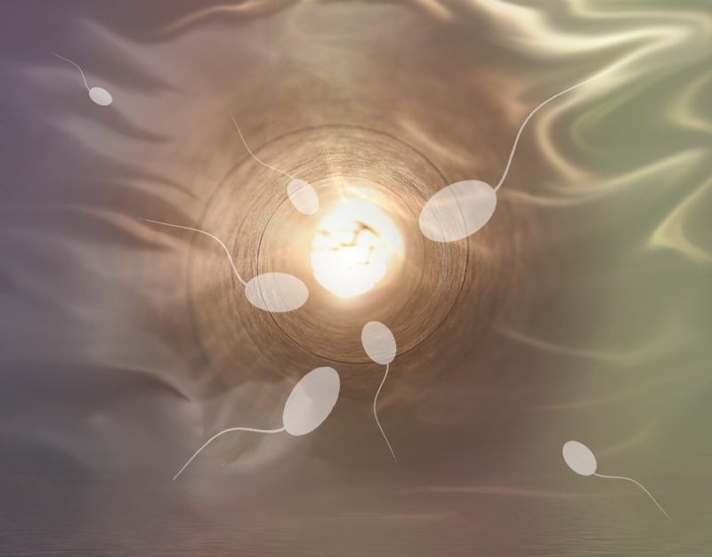 Vad är processen för spermiedonation? 6 överraskande saker att tänka på!