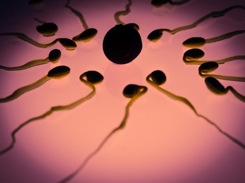 Vad betyder NI i spermiedonation? 2 nackdelar du bör tänka på!
