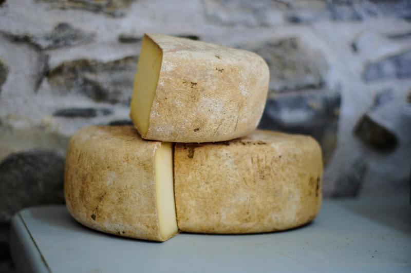 Varför mögel ost? 8 bästa tips för att skydda ditt mejeri